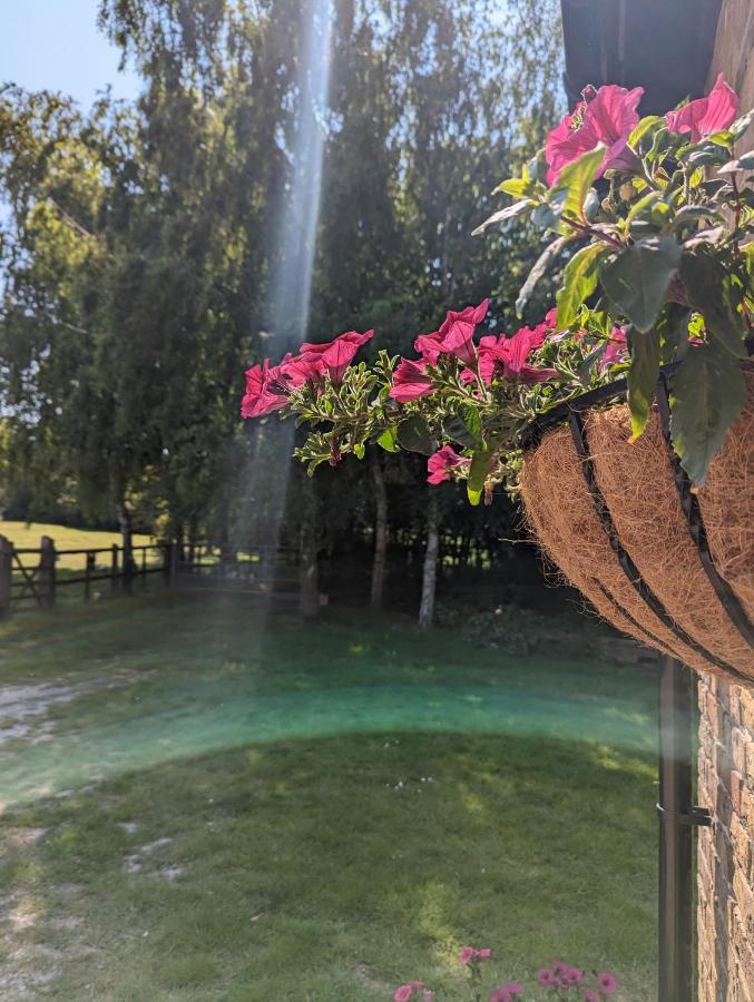 Myrtle Stables - Converted, Self-Contained, Countryside Hernhill Екстериор снимка